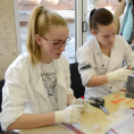 VÁROSI MIKULÁS NAP