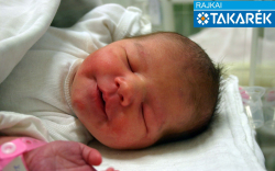 Kovács Dorina, Csorna