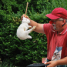 Családi nap a Gyerekek Átmeneti Otthonában