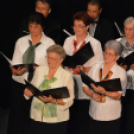 Jótékonysági műsor a Családok Átmeneti Otthona javára (Fotó: Nagy Mária)