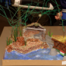 VÍZ világnapja 2015 a Futurában (Fotó: Horváth Attila)