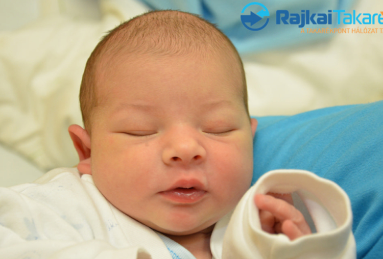 Hartai Kende Turul, 4050 gr. Hédervár