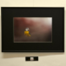 TERMÉSZETI ÉRTÉKEINK Fotókiállítás 