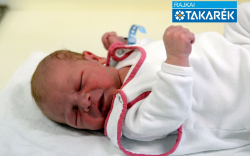 Baranyai Máté, Mosonmagyaróvár