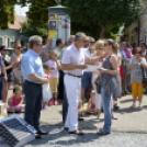 VII. Apró kezek, csodakertek Gyermek Kertépítő verseny