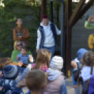 Pillangó Óvoda és Mini Bölcsőde családi nap az Alma együttessel 