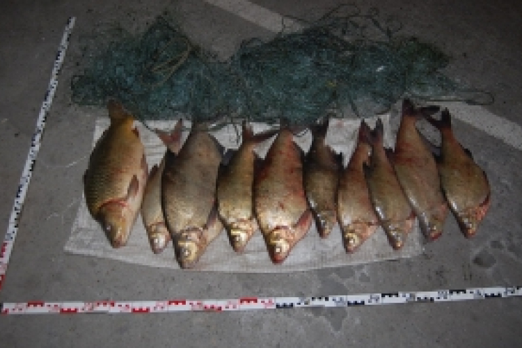 Vádemelési javaslat az orvhalászok ellen