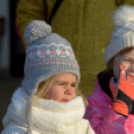 Madaras nap a Pillangó Óvoda és Mini Bölcsődében 