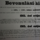 Emlékezzünk a Nagy Háborúra (Fotó: Bánhegyi István)