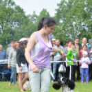 CAC kutyakiállítás (Fotó: Nagy Mária)