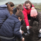 Kőrisfacsemetéket ültettek a diákok a Nolato Magyarország Kft telephelyén