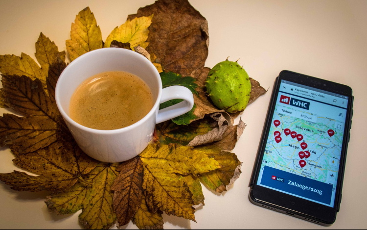 WHC Kft. munkatársakat keres