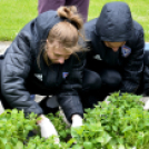 Virágosítás a városközpontban