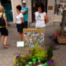 Apró Kezek, Csodakertek