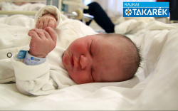 Markó Nola, Mosonmagyaróvár