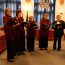 XVI. Mosonmagyaróvári Civil Nap (Fotó: Horváth Attila)