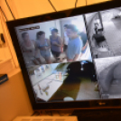 Pánik labor (Fotó: Nagy Mária)