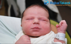 Szitás Donát, 3970 gr. Halászi