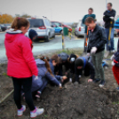 Kőrisfacsemetéket ültettek a diákok a Nolato Magyarország Kft telephelyén