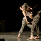 Mosonmagyaróvári Kossuth Lajos Gimnázium: 