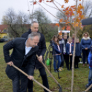 Országfásítási program Mosonmagyaróvár