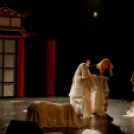 Japán Kert (Fotó: Horváth Attila)