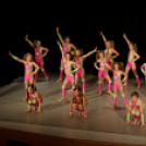 Jótékonysági műsor - Fehér és Máltai Szeretetszolgálat az Éltes iskola javára (Fotó: Horváth Attila)