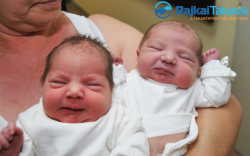 Bogár Loretta és Bogár Telicia, 2540 gr, 2