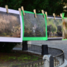 Kult Gála a Kult-Utcában (Fotó: Horváth Attila)