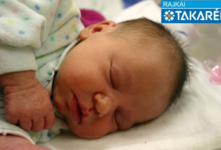 Magyar Zsófia, Mosonmagyaróvár