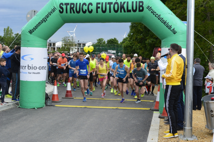 XIV. Greiner Szigetköz Félmaraton