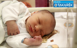 Földes Mátyás, Mosonmagyaróvár