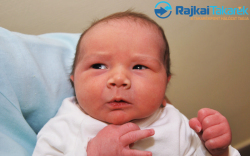 Vörös Ágoston, 3290 gr. Barbacs