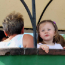 Pillangó Óvoda lovas nap és piknik (Fotó: Stipkovits Veronika)