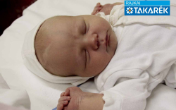 Böcskei Tamás, Levél