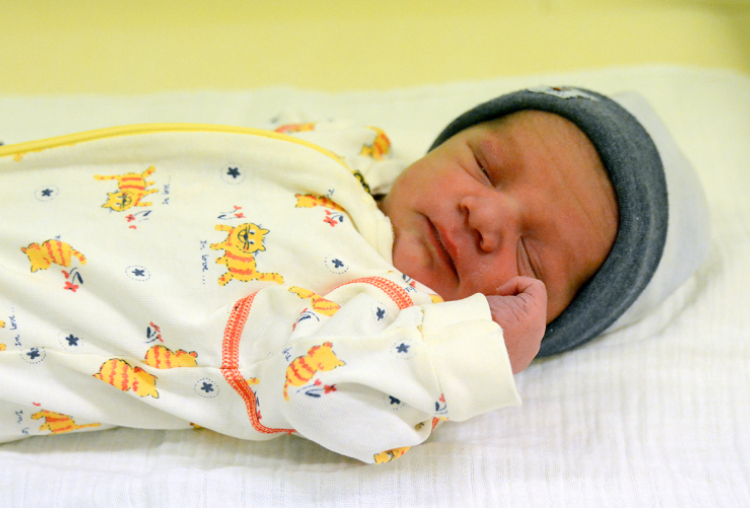 Szabados Márk, Lébény