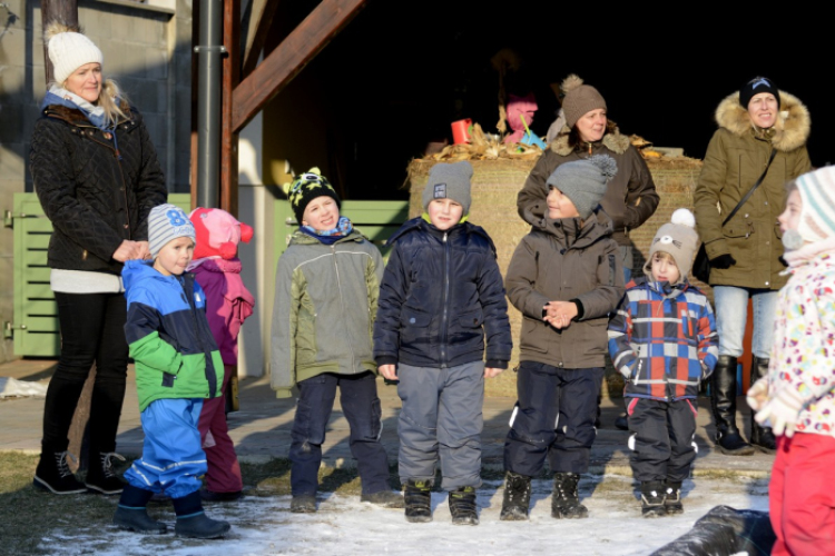 Madaras nap a Pillangó Óvoda és Mini Bölcsődében 