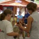 XII. Szigetköz ízei, Vármegye borai Fesztivál 3. nap