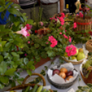 Termény- és virágkiállítás 