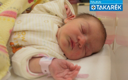 Frank Viktória, Kimle