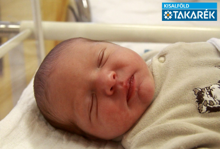 Gelecsér Ábris, Halászi