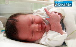 Horváth Krisztofer, Mosonmagyaróvár