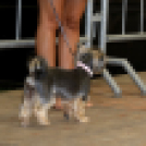 XII. Szigetköz ízei, Vármegye borai Fesztivál 3. nap