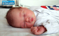 Csajbok Jázmin Ágnes, Mosonmagyaróvár