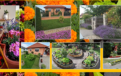 Virágosíts Mosonmagyaróvár! - ismét kiírták a pályázatot 