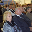 Dan Hrvata, Horvát Nap