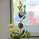 Japán nap a Flesch Központban