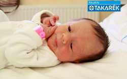 Vikidár Barbara, Mosonmagyaróvár