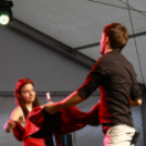 XI. Szigetköz ízei, Vármegye borai Fesztivál 3. nap