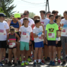 XV. Greiner Szigetköz Félmaraton